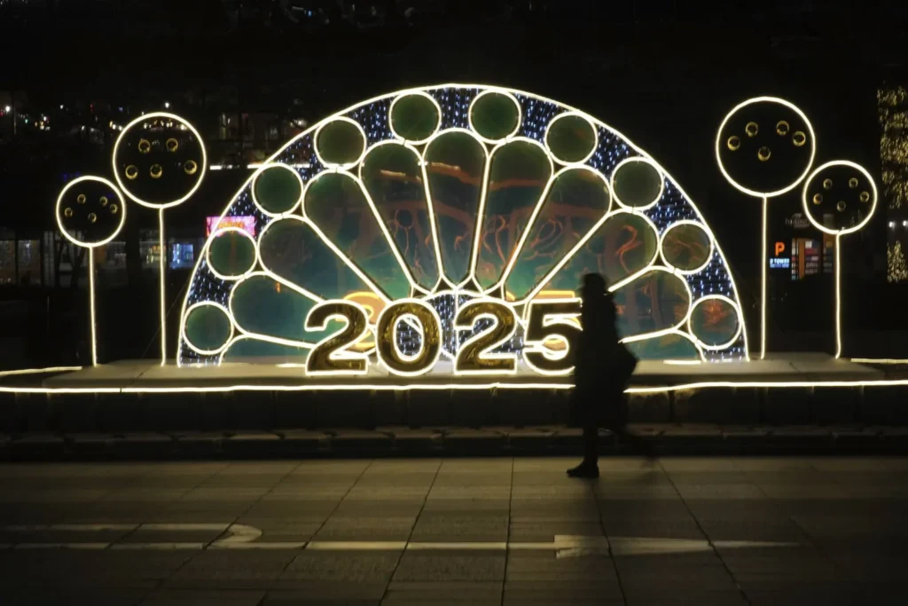 دول العالم تستقبل 2025 (صور) 15 دول العالم تستقبل 2025 (صور)