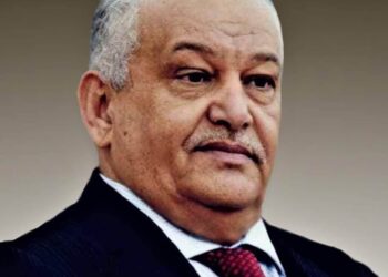 د. الوالي: نحن حلفاء مع شركائنا في مواجهة المشروع الحوثي لكننا لسنا شركاء في إدارة الجنوب