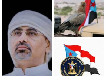 لا تقصفوا السفينة قبل أن تطرح البدائل: الانتقالي خيار وضرورة