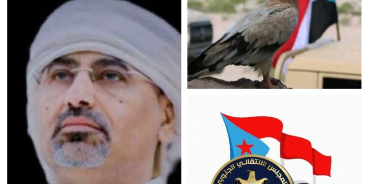 لا تقصفوا السفينة قبل أن تطرح البدائل: الانتقالي خيار وضرورة