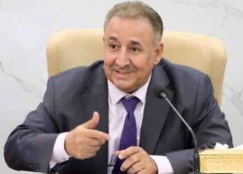 الربيزي: علاقتنا بالمملكة استراتيجية وغير قابلة للابتزاز أو التشويه